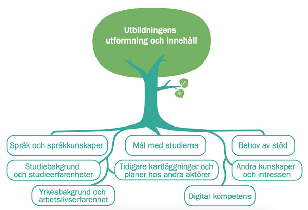Modell över kartläggningen på sfi, ur Skolverkets stödmaterial Kartläggning av eleven inom kommunal vuxenutbildning i svenska för invandrare.